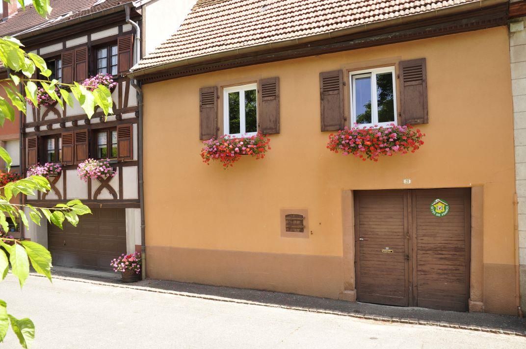 Photo_1
