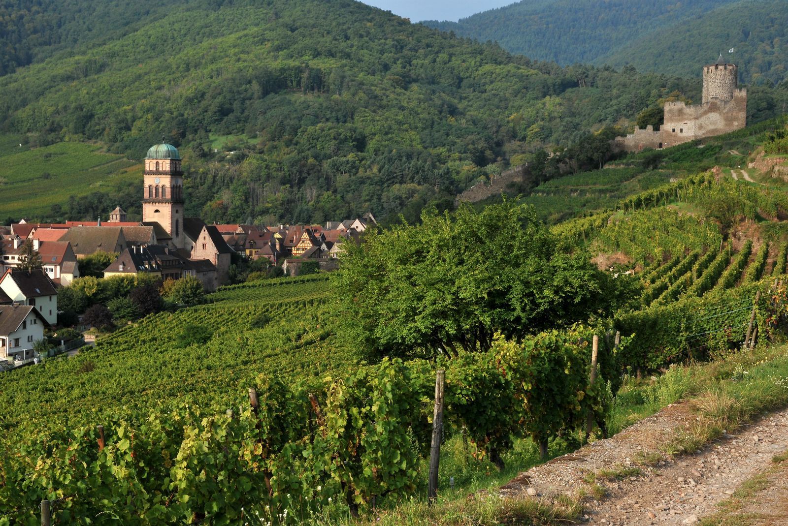 Randonnée / Kaysersberg