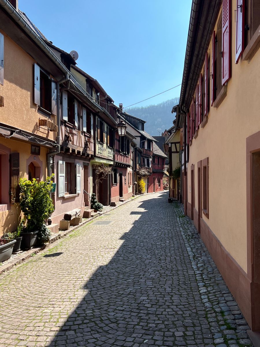 Séjournez au cœur de la charmante Rue des Forgerons à Kaysersberg ! Profitez d’un cadre authentique avec ses maisons à colombages et ruelles pavées. Idéal pour une escapade paisible en Alsace, entre tradition et confort.