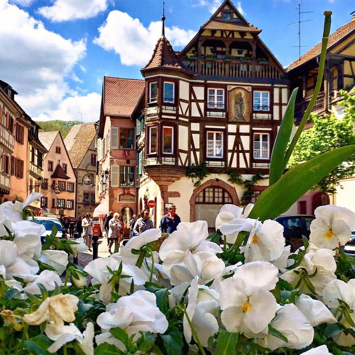 Vue fleurie sur la place de l’Église à Kaysersberg, avec ses maisons à colombages typiques et son ambiance chaleureuse. À deux pas du Gîte de la Rivière Enchantée, vivez le charme authentique de l’Alsace au cœur du village.