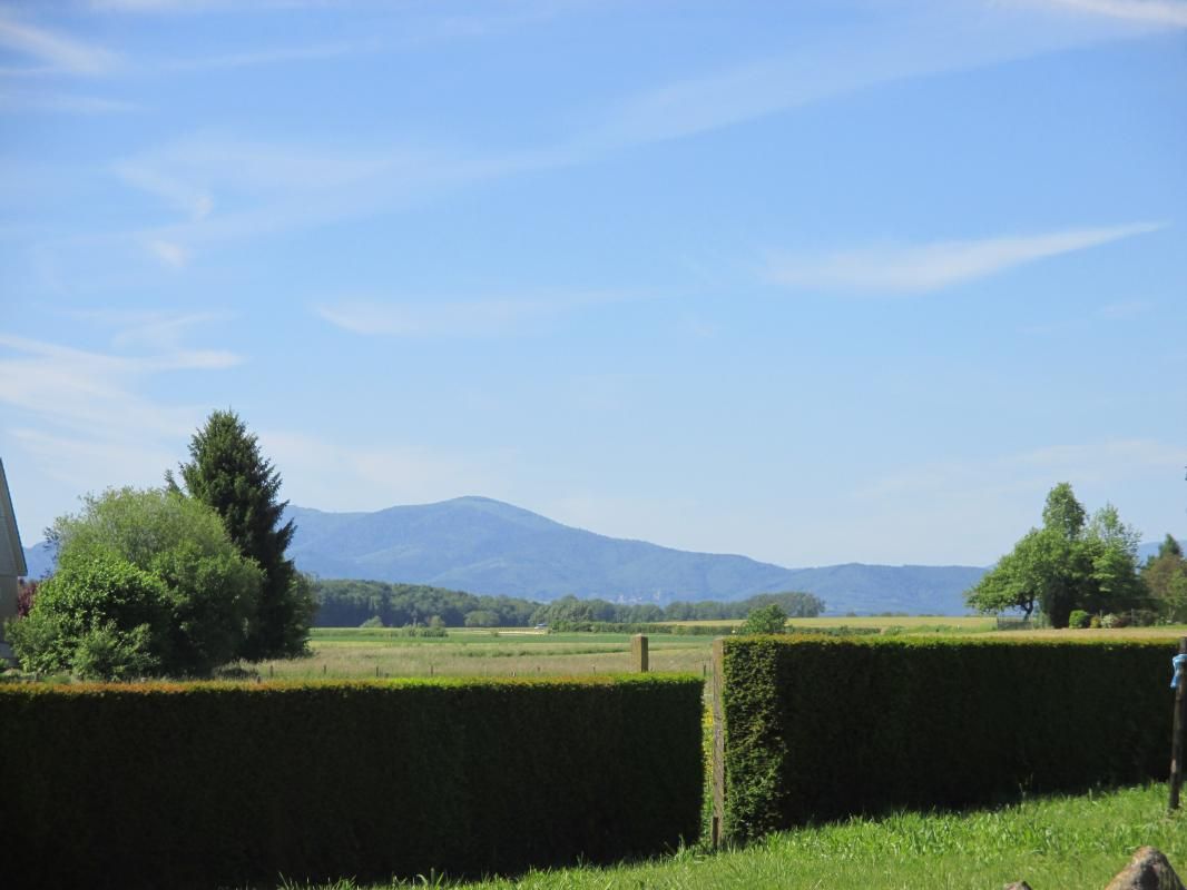 Les Roseaux_14