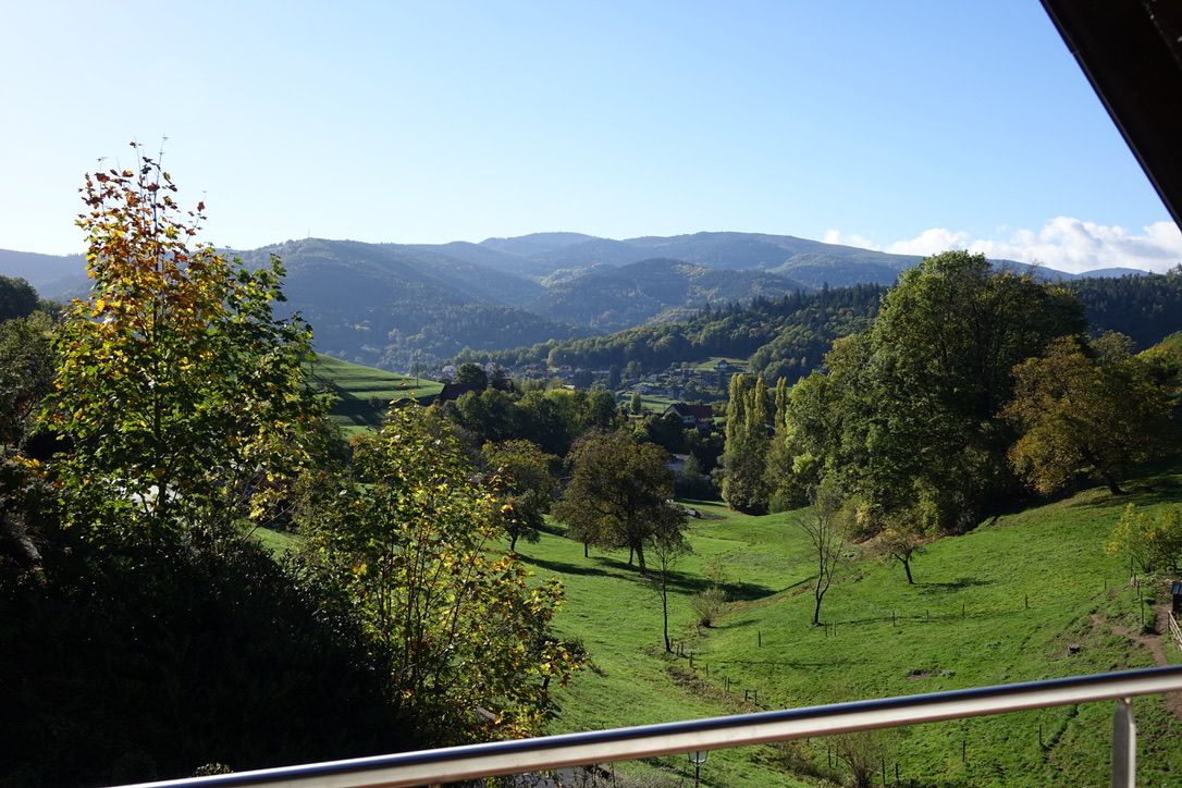 vue sur le petit ballon