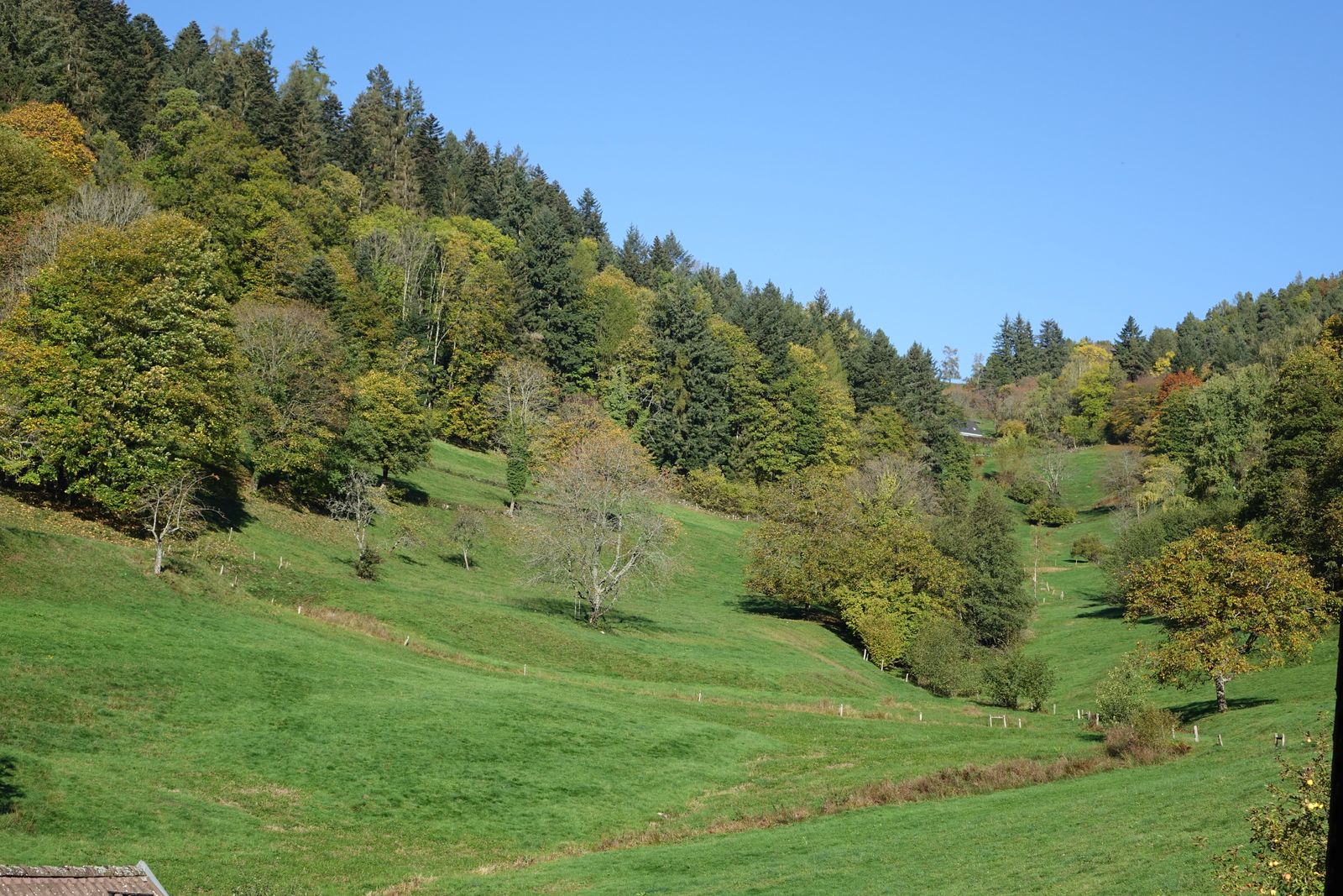 vue sur le vallon