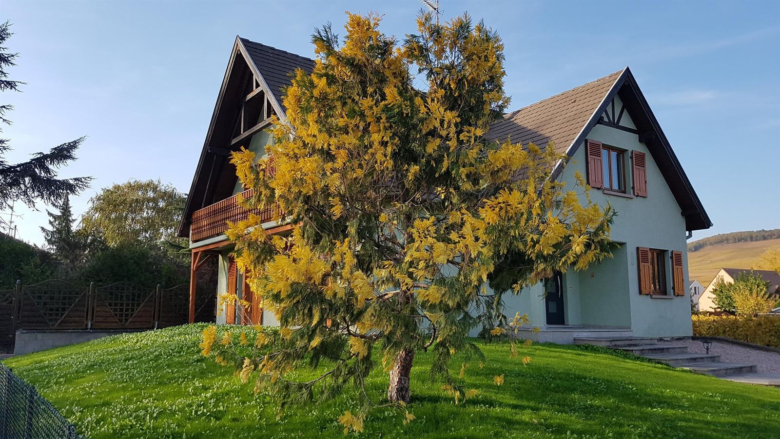 Maison