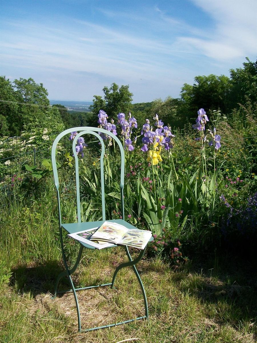 Chaise jardin