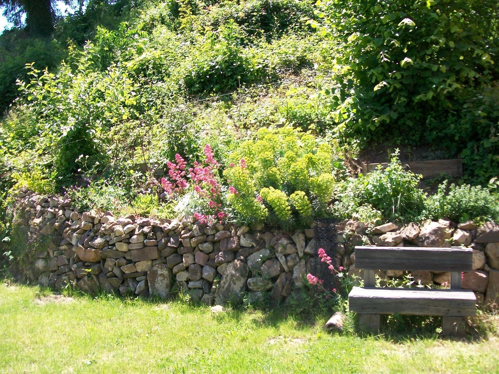 Fleurs jardin