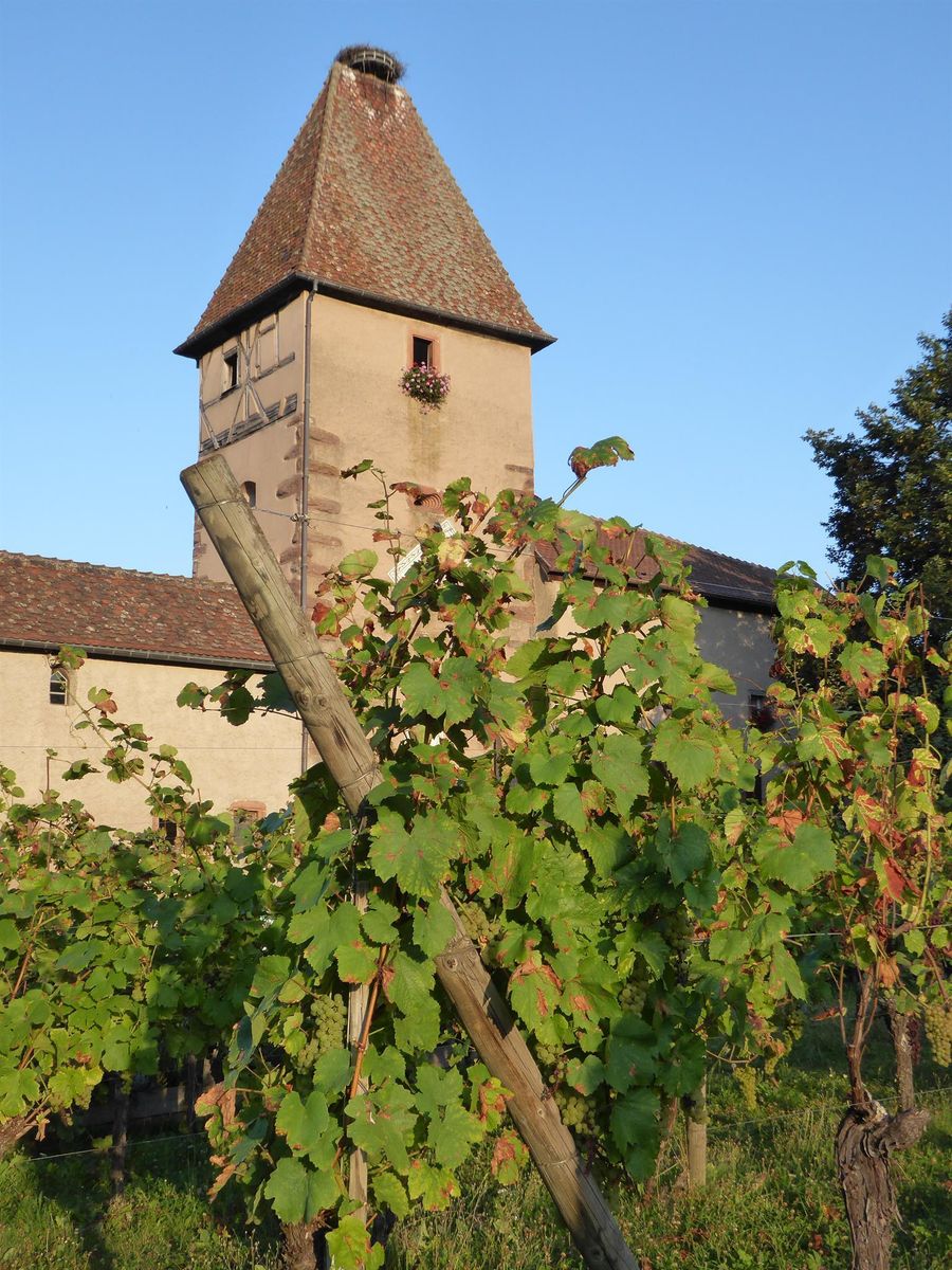 la porte-haute