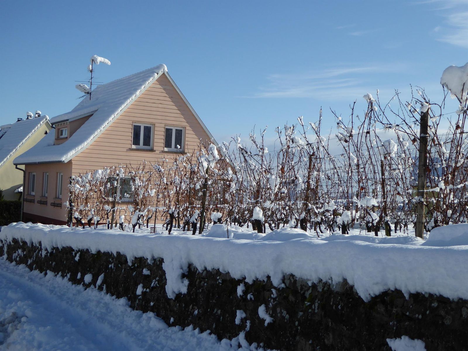 le charme de l'hiver