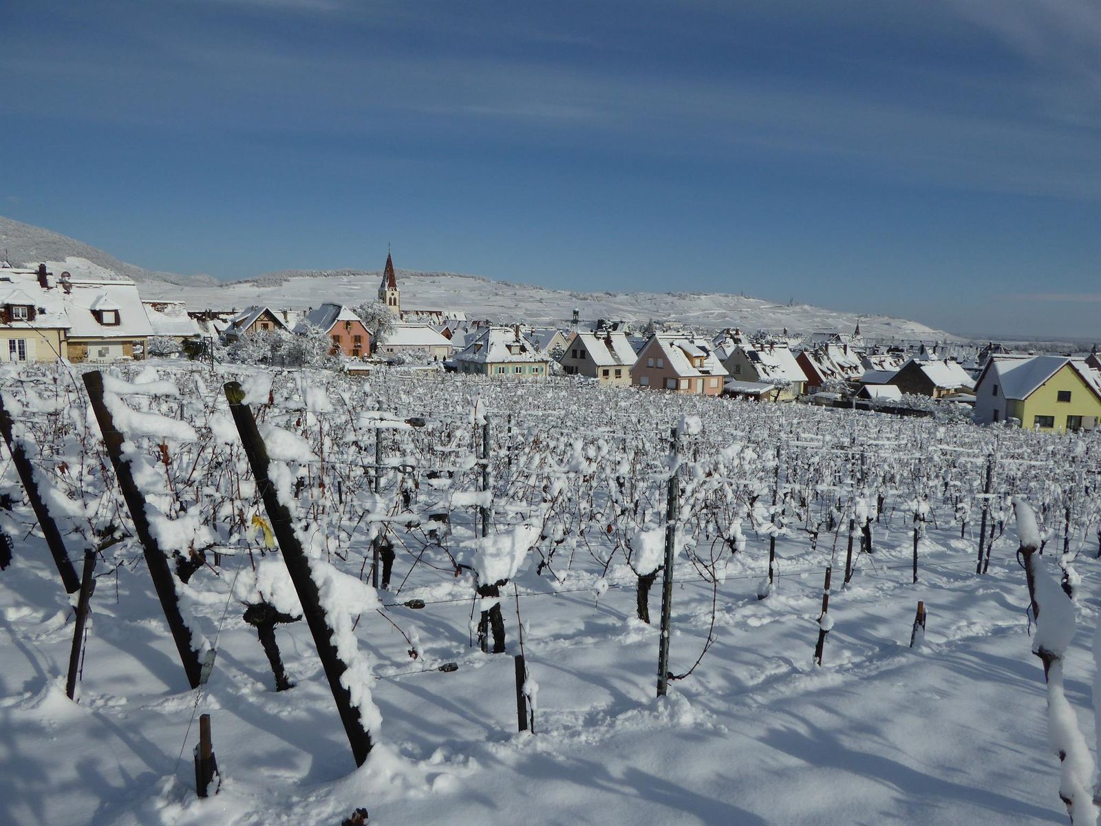 la vigne et les viticulteurs sont au repos