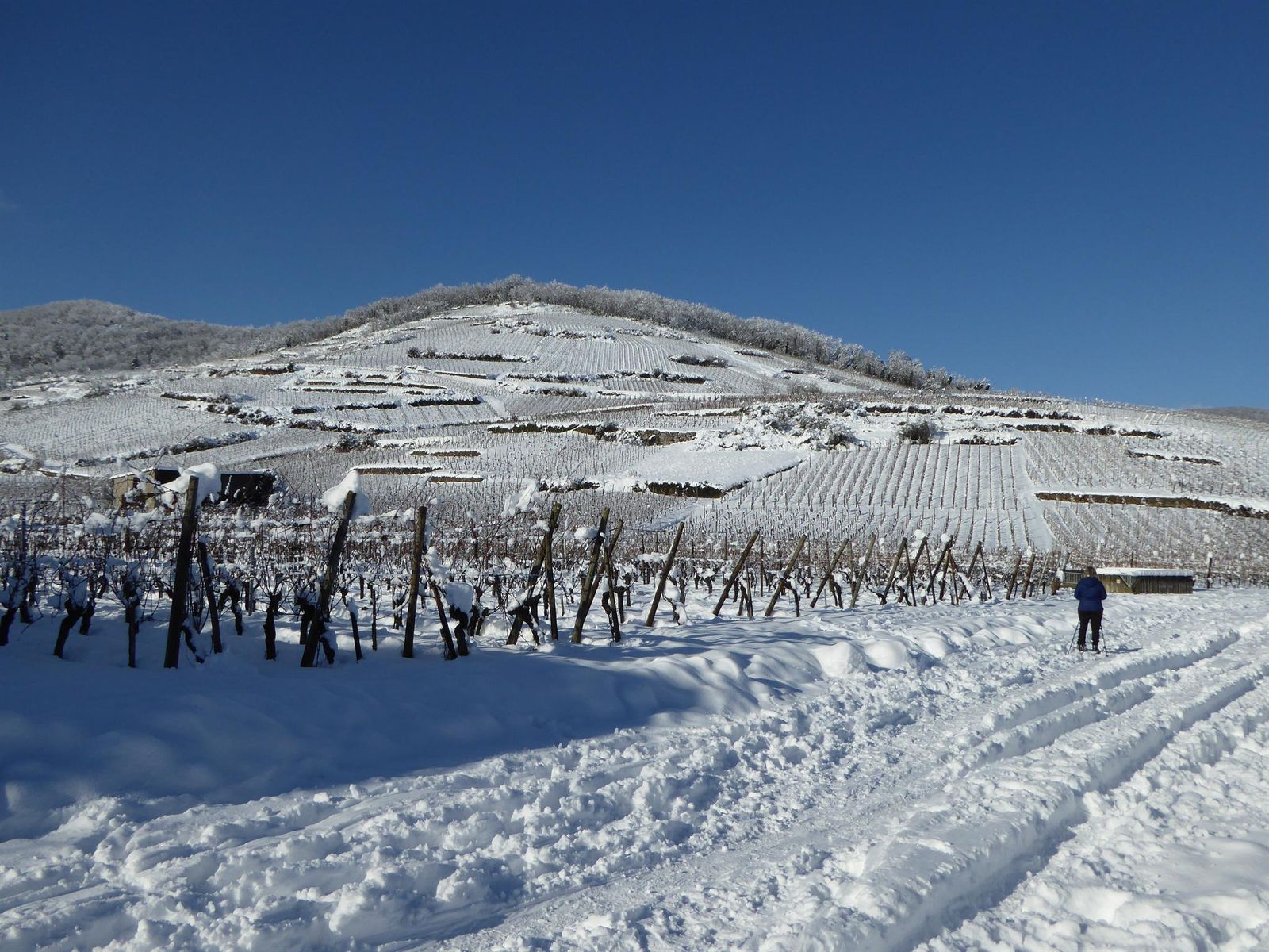 ballades enneigées