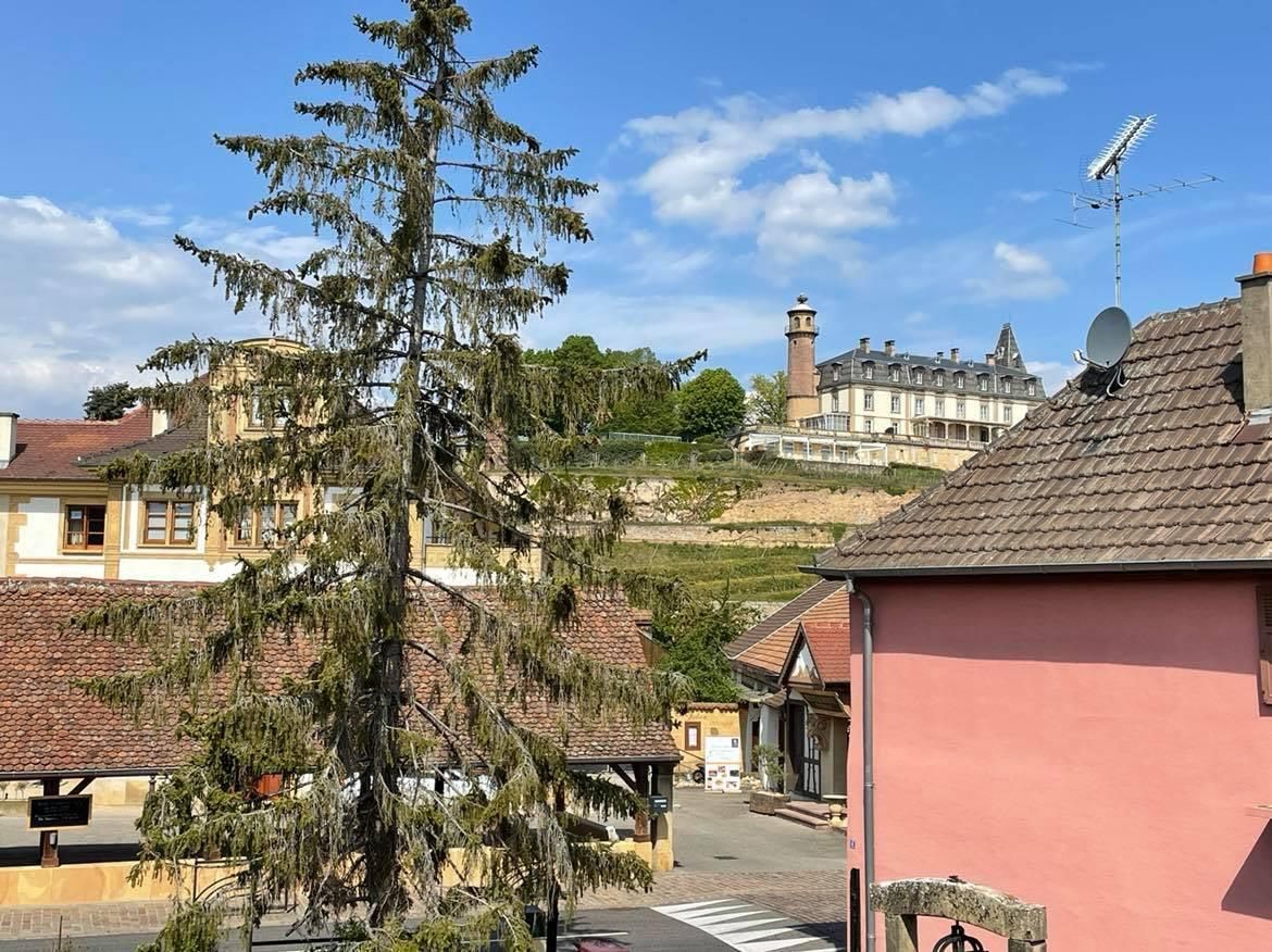 vue sur le chateau