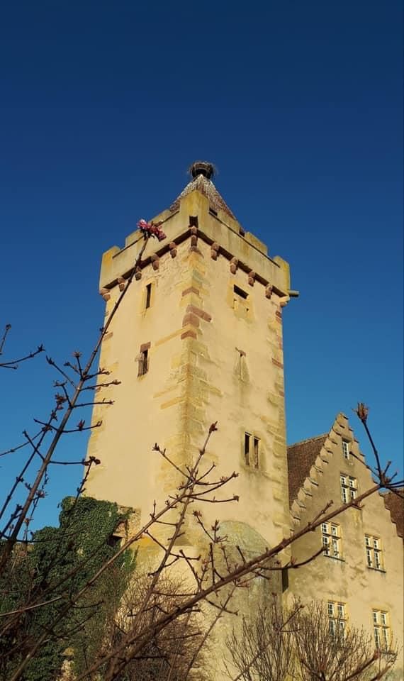 zLA TOUR DES SORCIERES