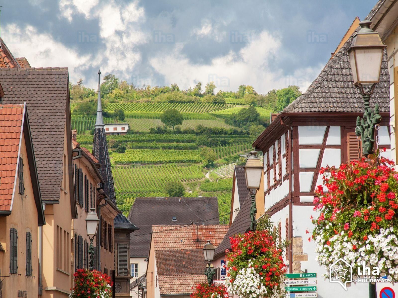 Rouffach-Les-maisons-a-colombages-et-vignobles-a-r