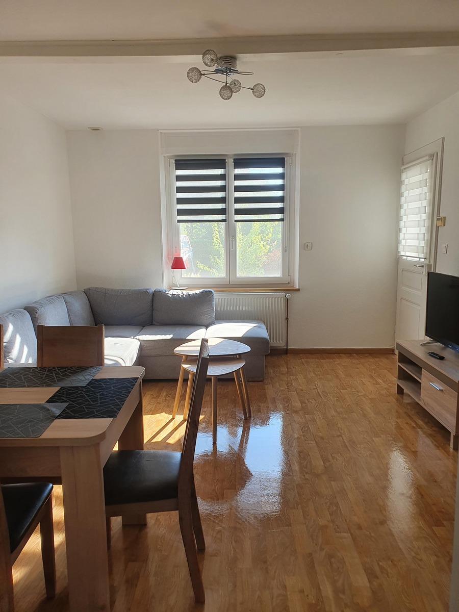 salon / salle à manger