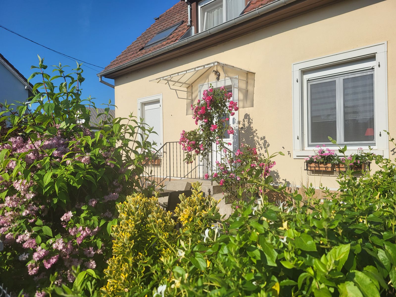 extérieur / entrée / jardin