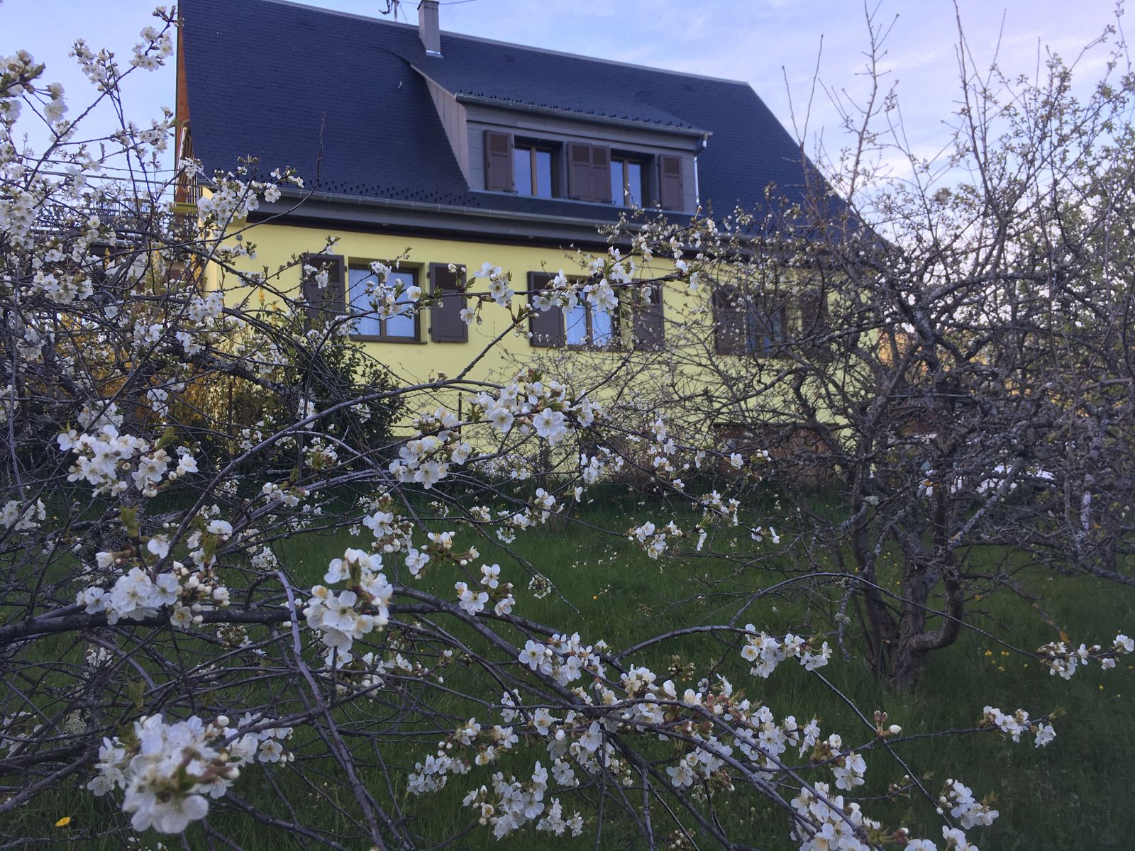 Aux Cerisiers