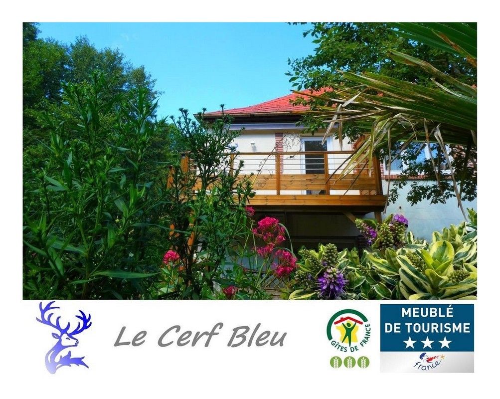 La terrasse