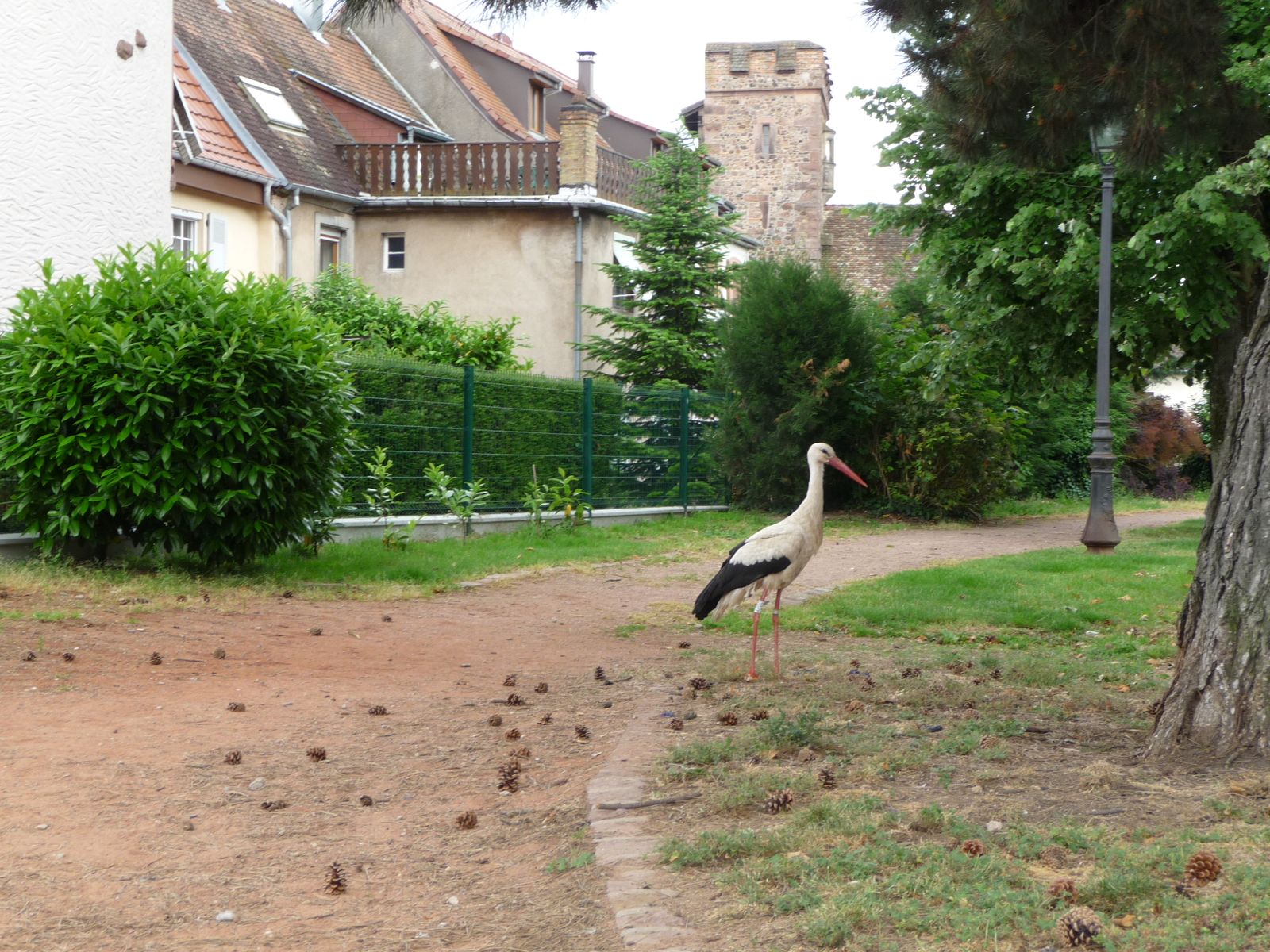 Porte médiévale à proximité