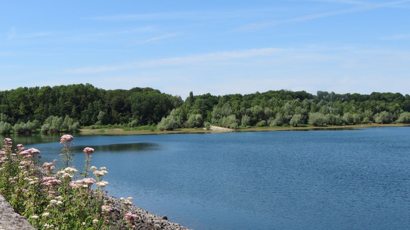 Lac de Michelbach