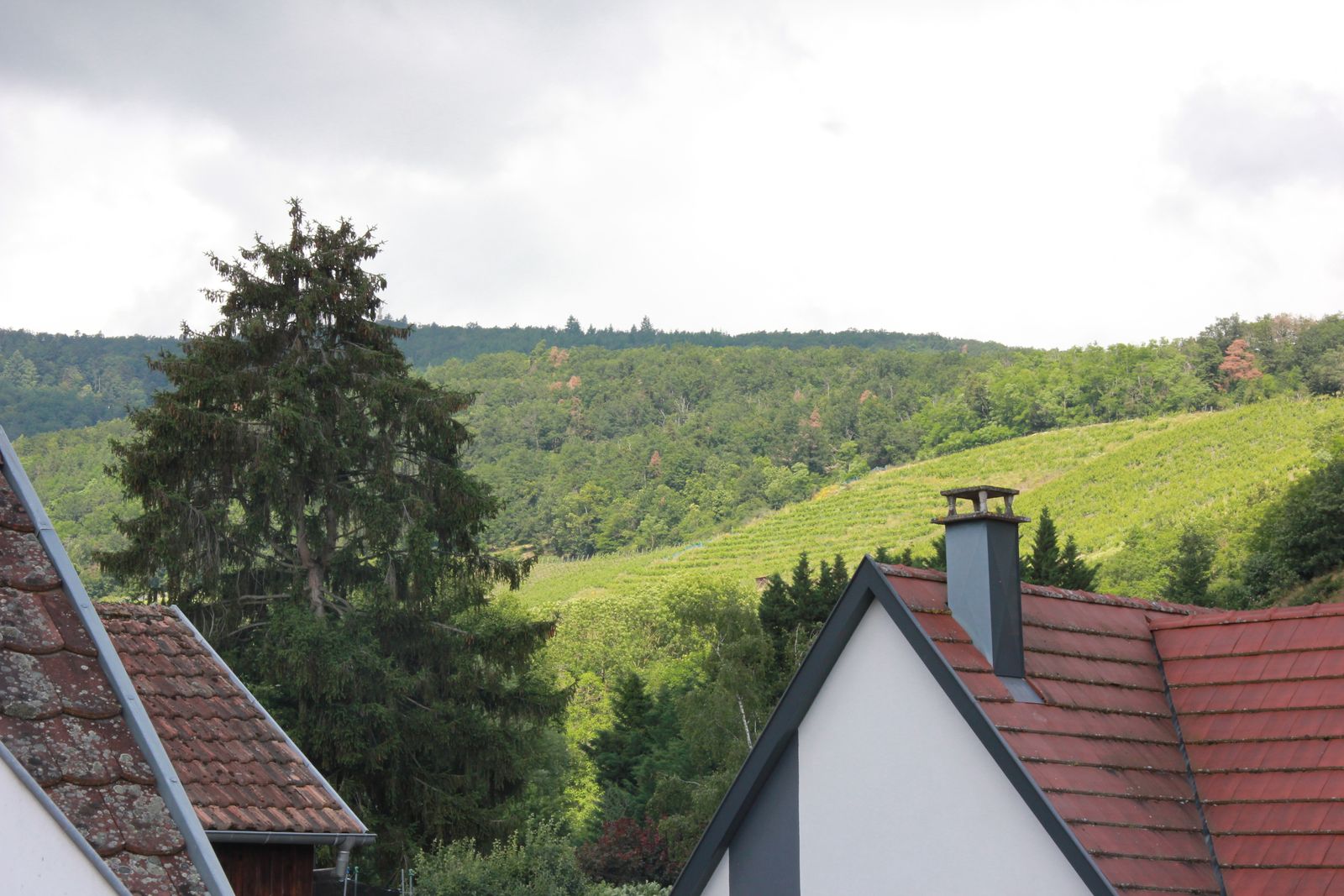 La Terrasse du Galtz