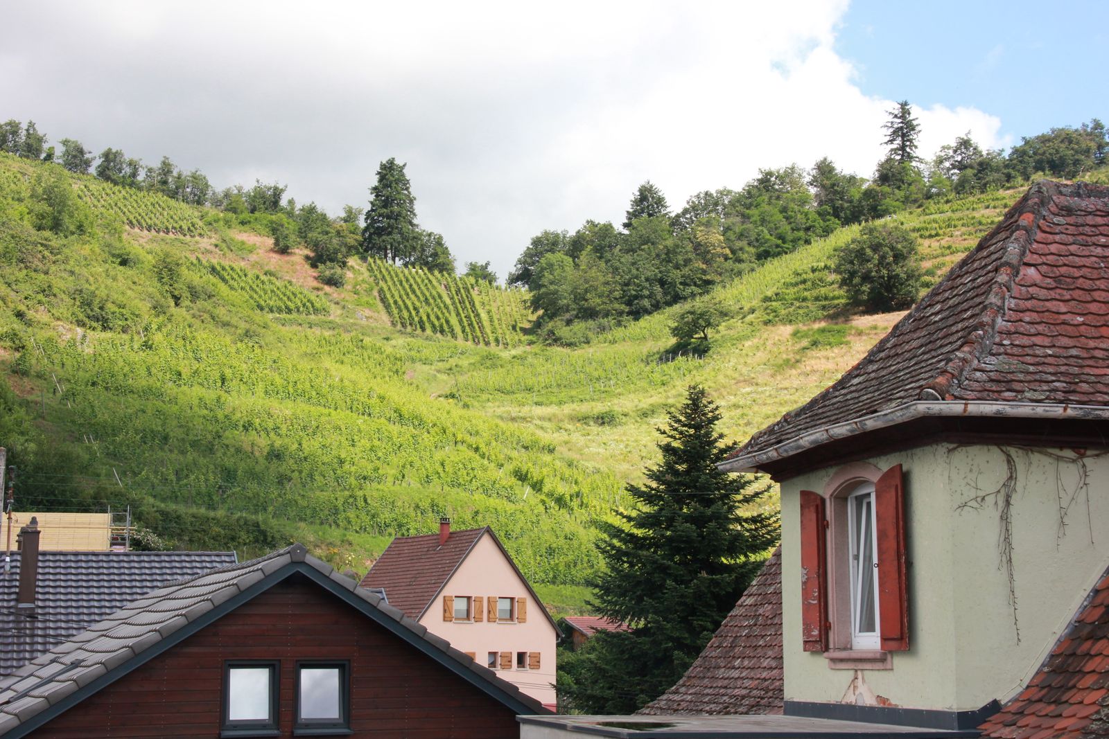 La Terrasse du Galtz