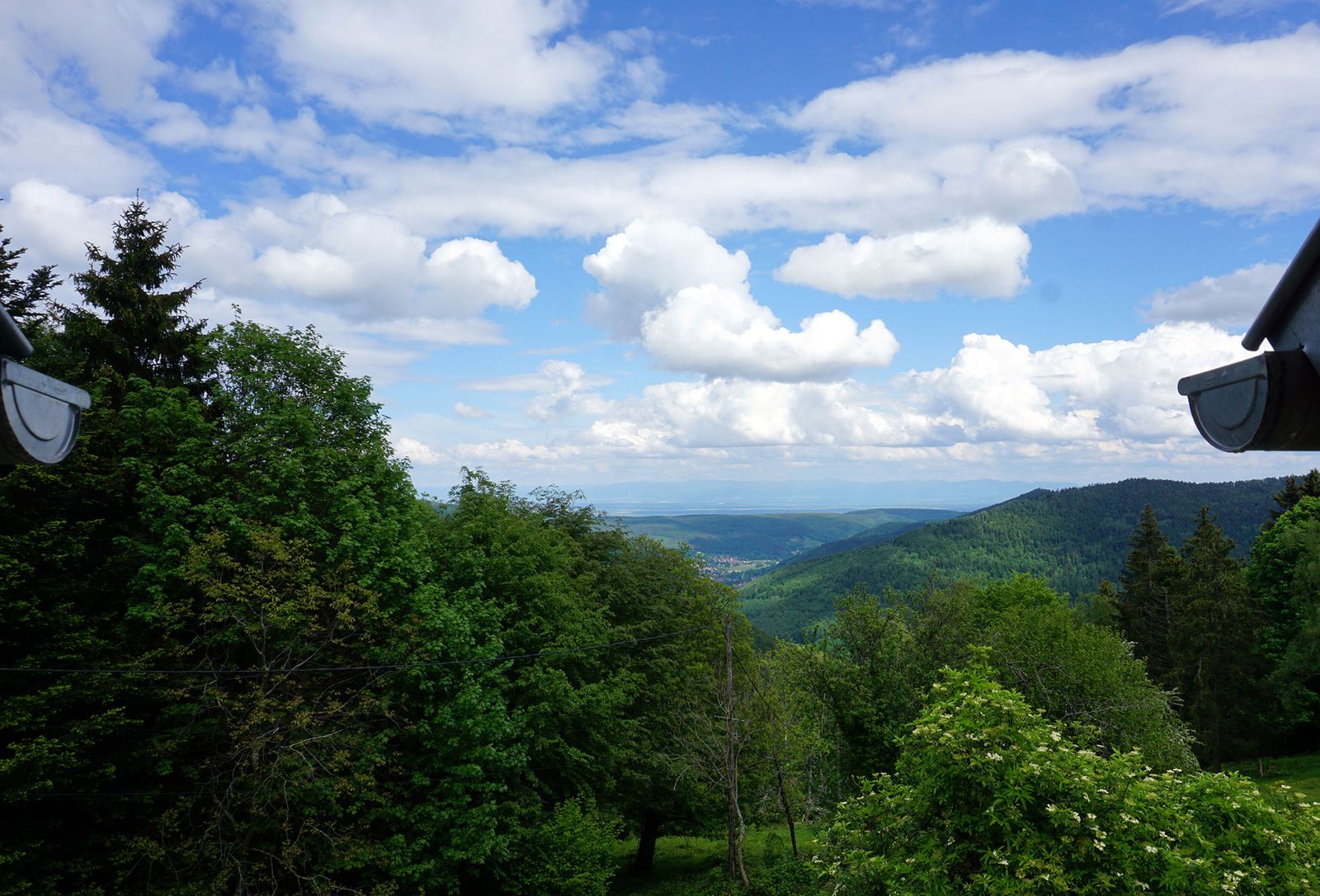 Vue depuis la cuisine au printemps