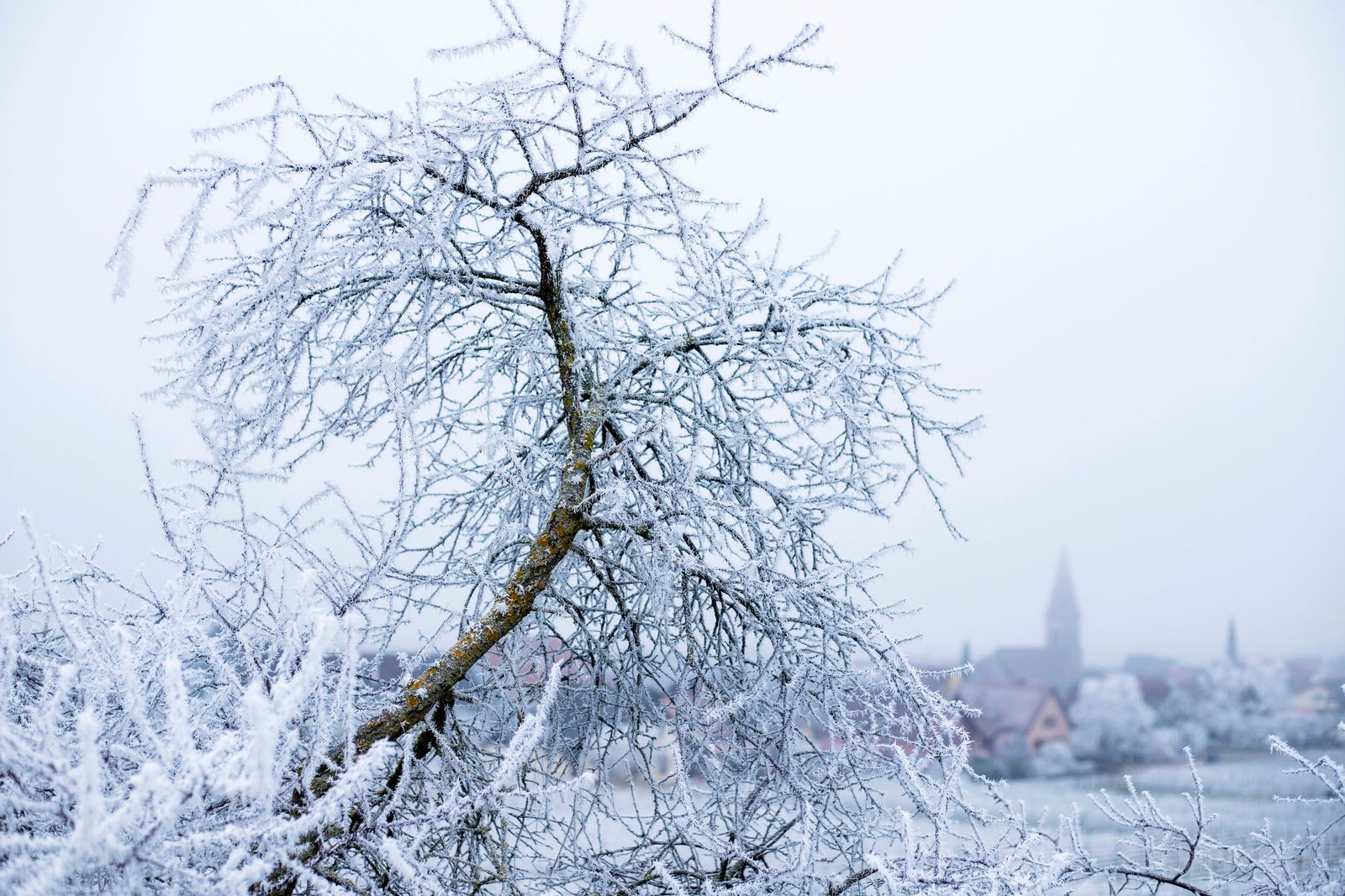 Wettolsheim. Paysage d'hiver©Atelier Pallagès