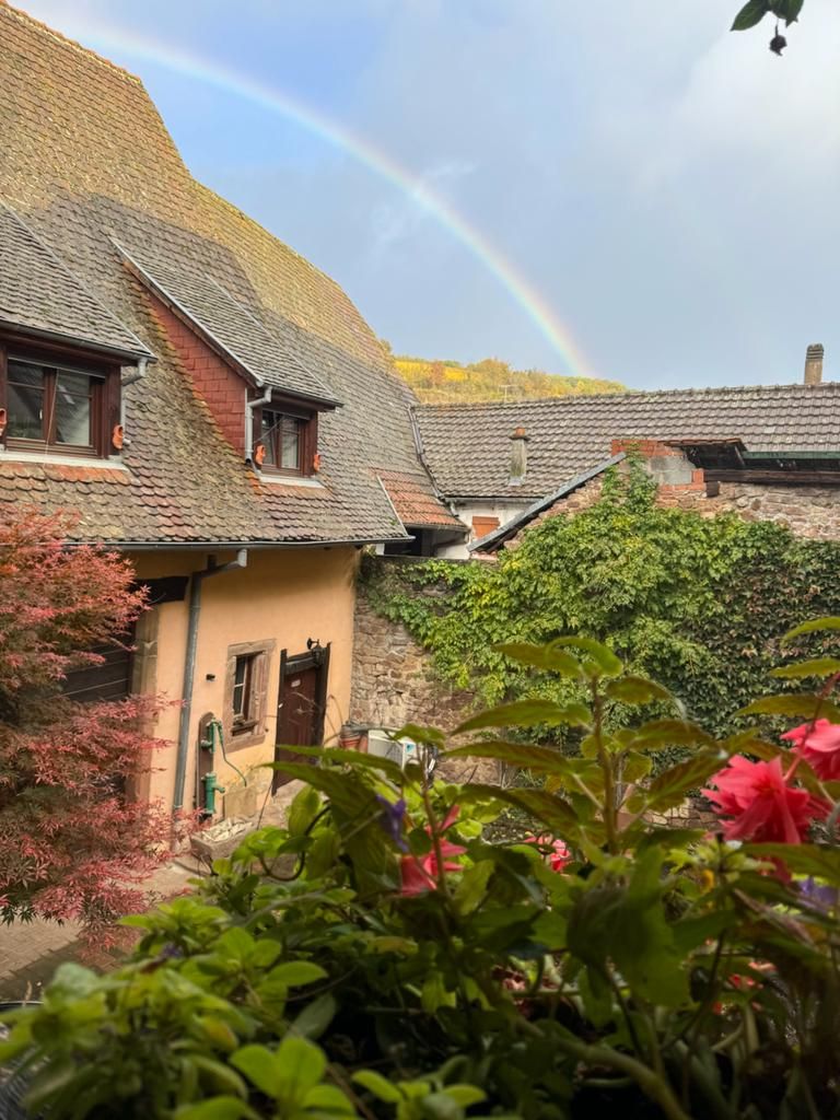 Entre vignes et vergers  Gîte Parenthèse
