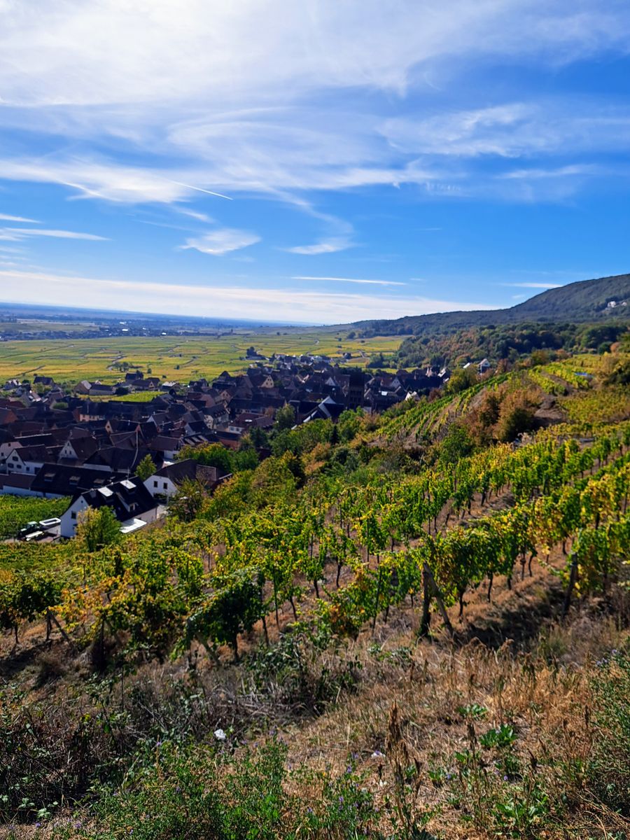 Entre vignes et vergers  Gîte Parenthèse