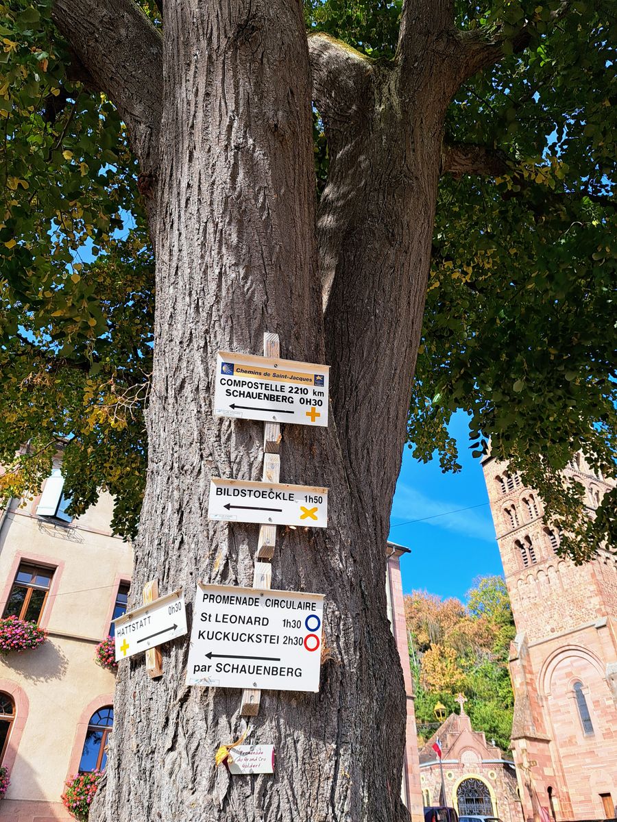 Entre vignes et vergers  Gîte Parenthèse