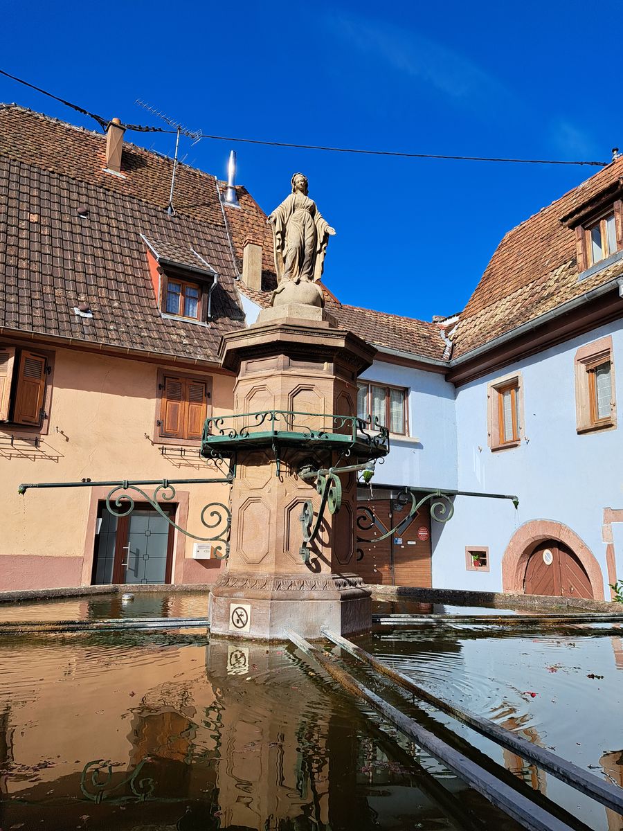 Entre vignes et vergers  Gîte Parenthèse