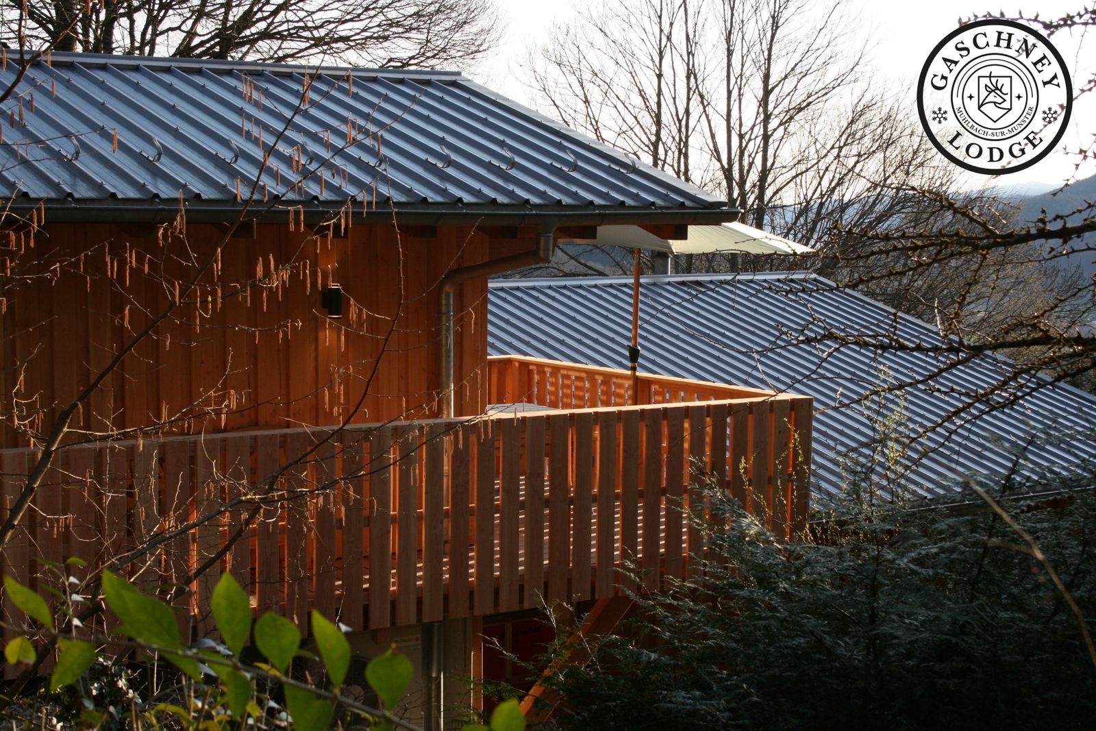 Gaschney Lodge studio