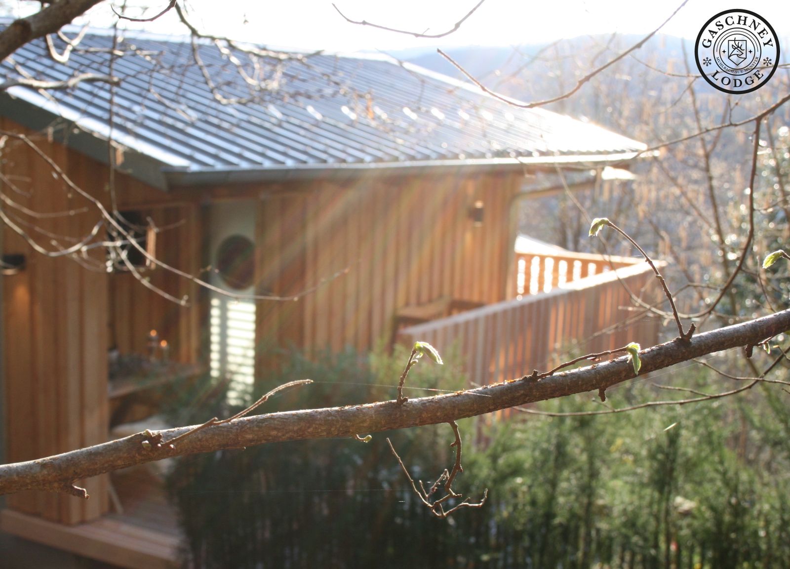 Gaschney Lodge studio