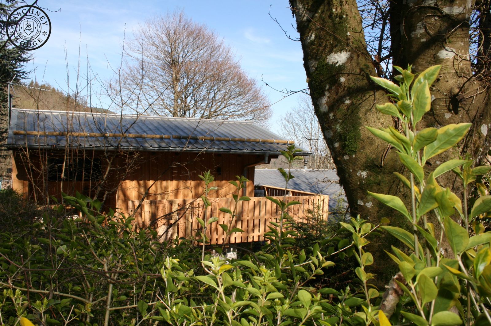 Gaschney Lodge studio