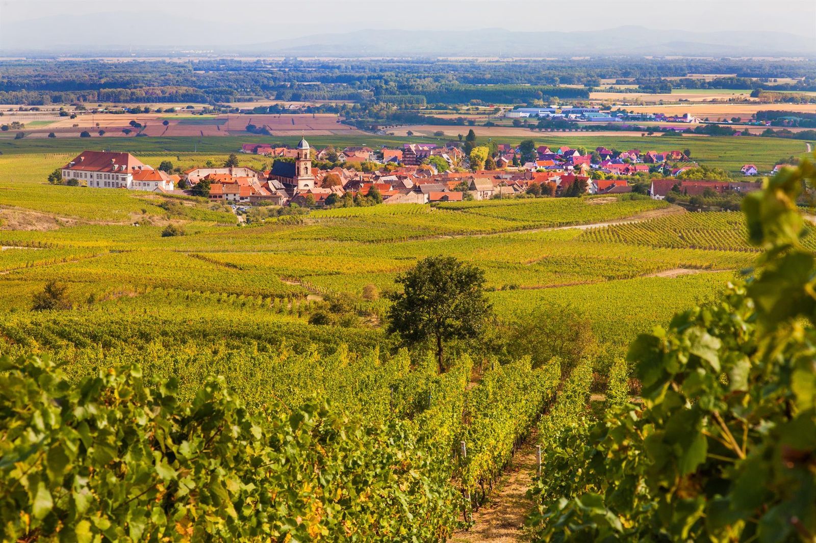 Paysage Saint-Hippolyte