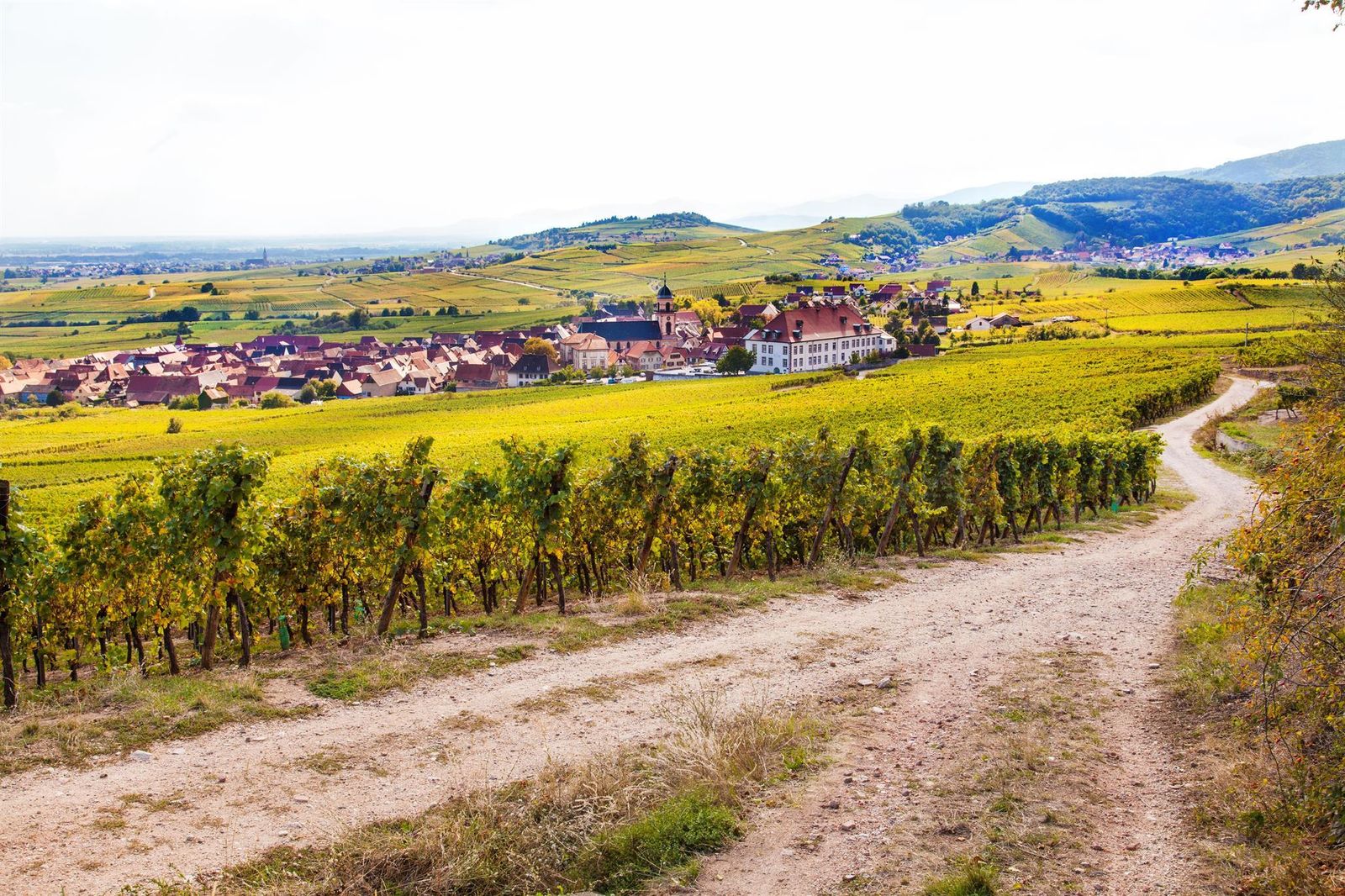 Paysage Saint-Hippolyte