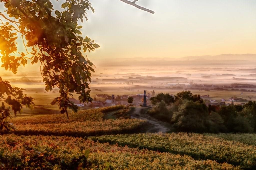 Paysage Saint-Hippolyte