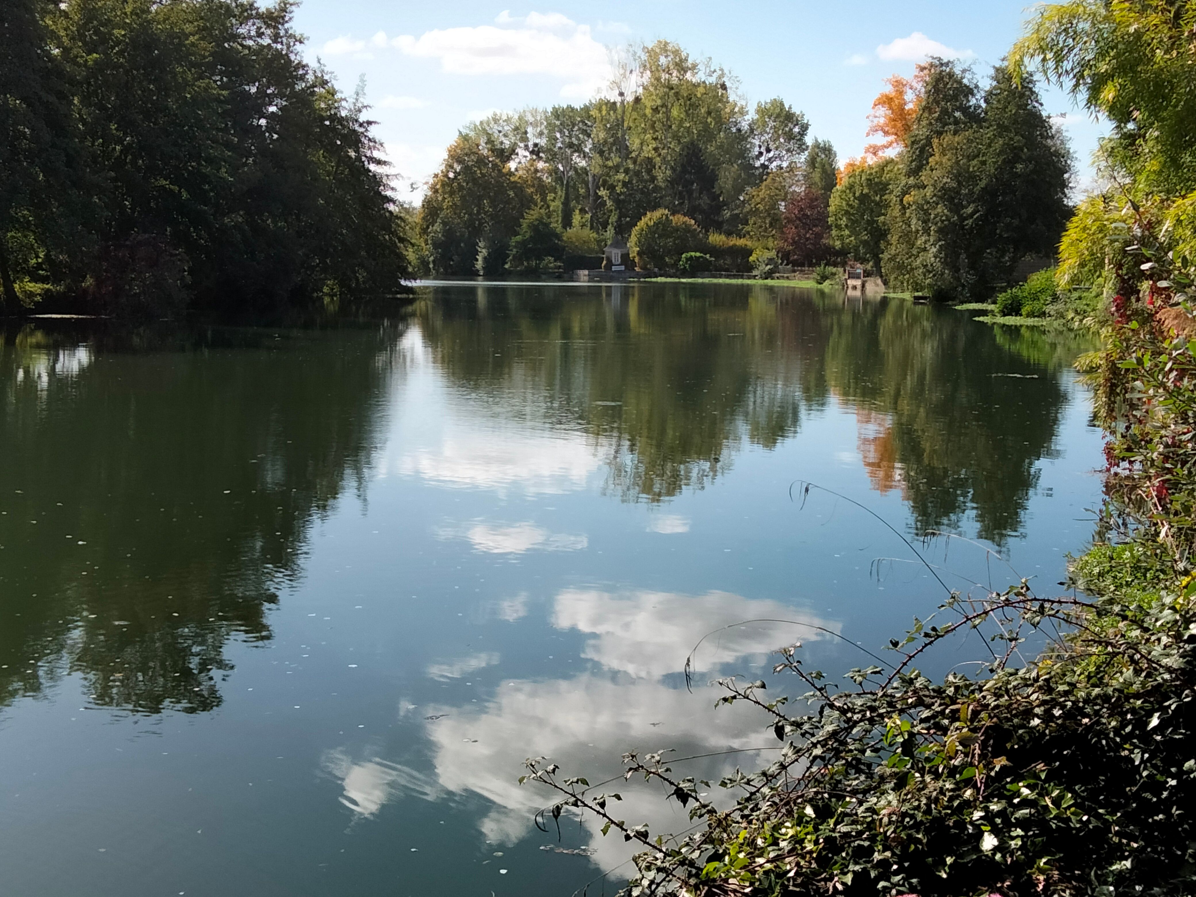 Foto 8 di La Roseraie - Gîtes de France