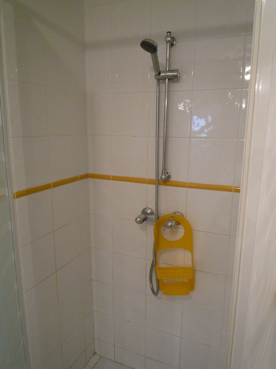 douche de chambre hortensia